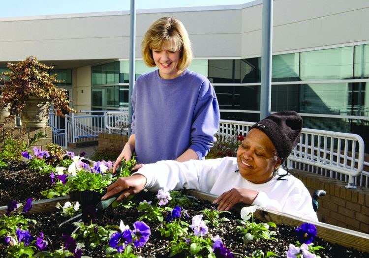 two women gardening